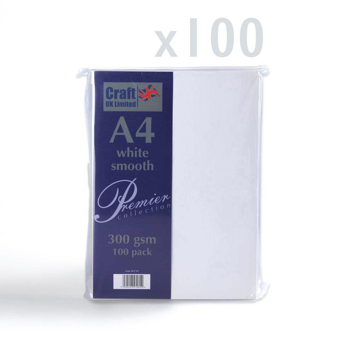 Carte 300 g/m² lot de 100 pièces