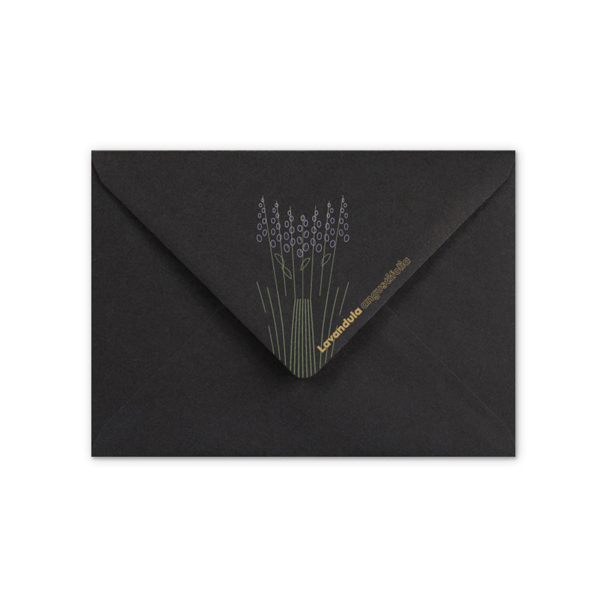 Enveloppe Motif Lavande
