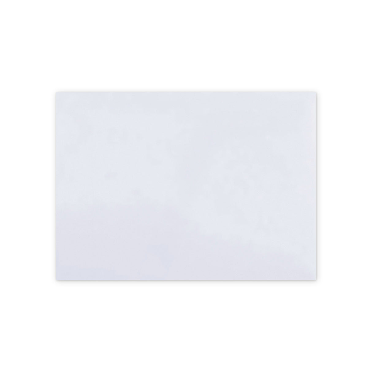 Enveloppe Motif Animaux de compagnie