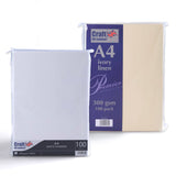 Carte 300 g/m² lot de 100 pièces