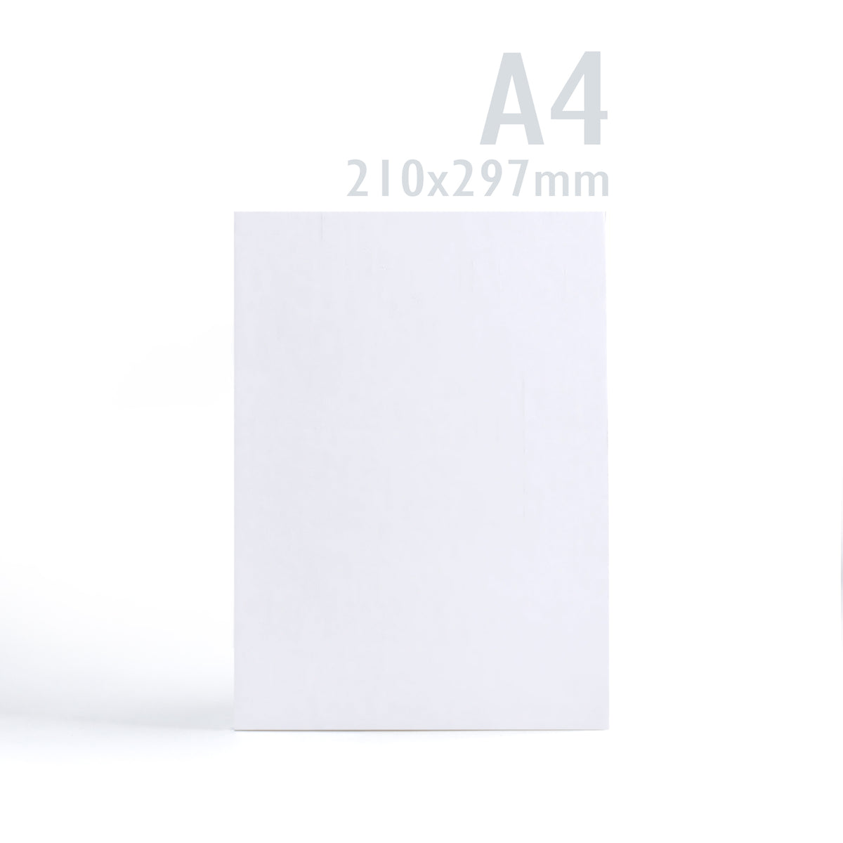 Carte 300 g/m² lot de 100 pièces