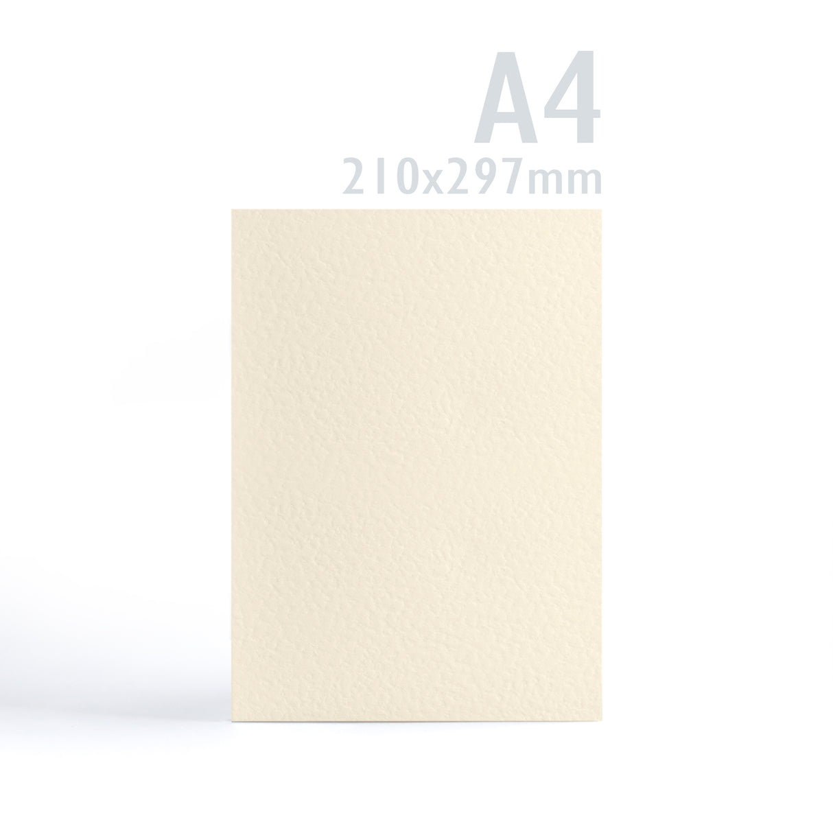 Carte 300 g/m² lot de 100 pièces