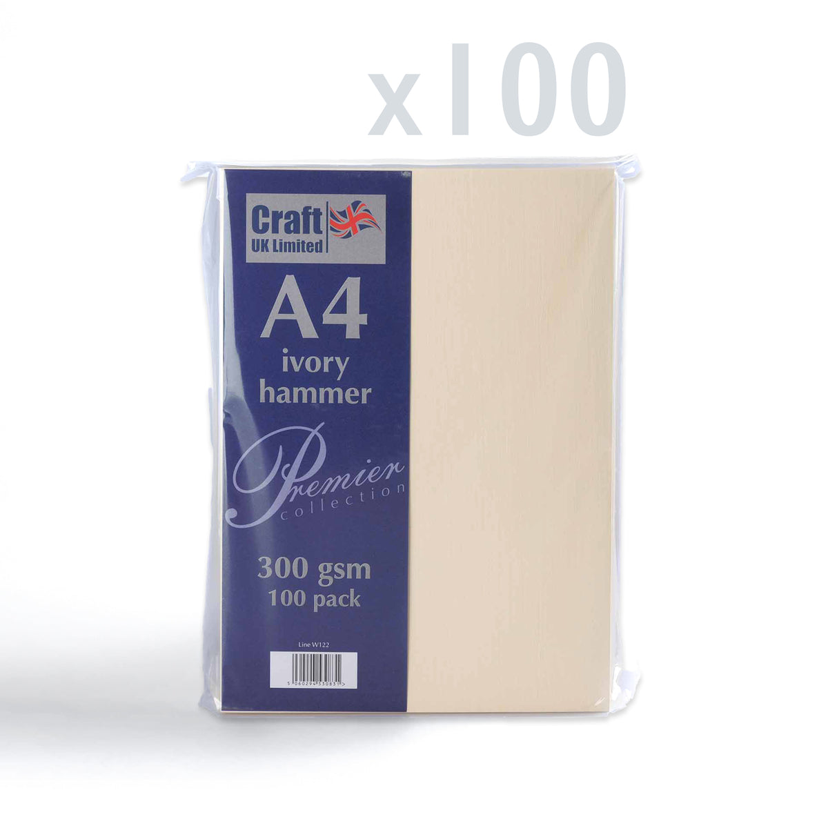 Carte 300 g/m² lot de 100 pièces