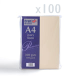 Carte 300 g/m² lot de 100 pièces