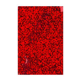 Sachets Alus Holographiques
