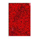 Sachets Alus Holographiques