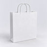 Twist Handle Paper Bags